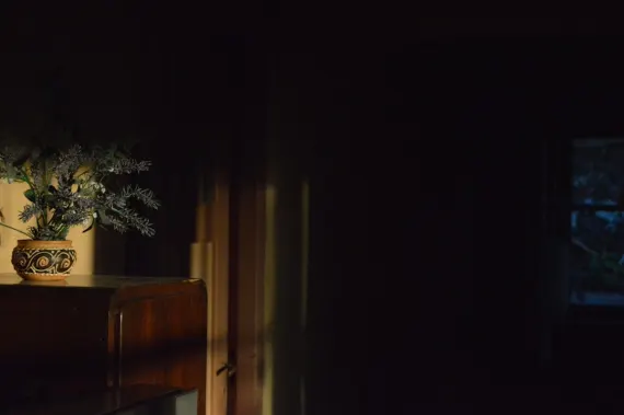 Trada Casino Soporte